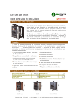 Estufa de le&ntilde;a con circuito hidr&aacute;ulico