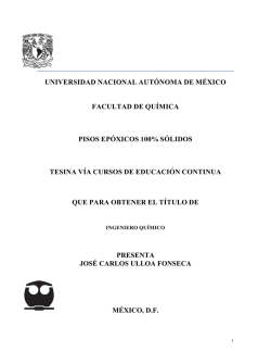 PISOS EP&Oacute;XICOS 100% S&Oacute;LIDOS - AMyD