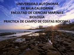 Presentaci&oacute;n pr&aacute;ctica de campo al intermareal rocoso de Punta Morro.