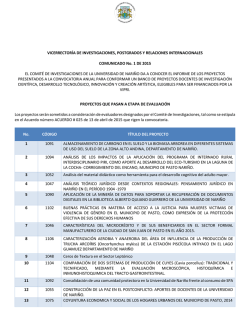 Documento de Informe - Universidad de Nari&ntilde;o | Vicerrectoria de
