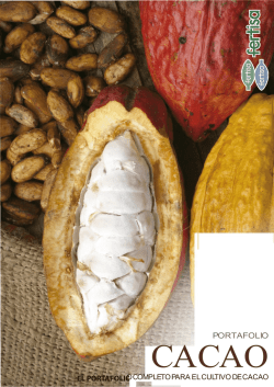 pdf cacao