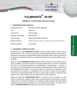 FULMINANTE 60 WP - agroquimicos costa rica
