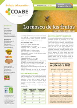 La mosca de las frutas