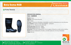 Ficha Tecnica BOTA GOMA RGB
