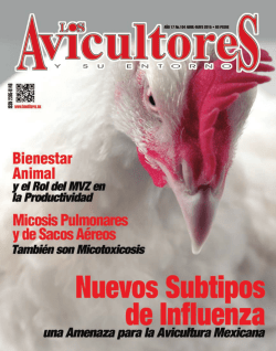 descargar - BM Editores