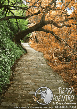 pastos brachiaria - Revista Tierra Adentro