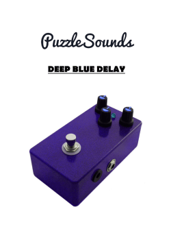 Deep Blue Delay Manual