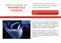 Perito Judicial en Inform&aacute;tica Forense