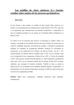 Las semillas de Alnus glutinosa (L.) Gaertn: estudios sobre mejora