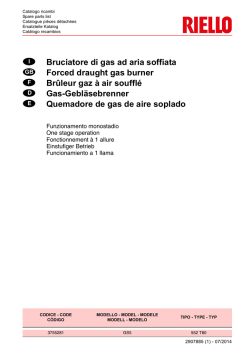 R-2907885-1 Riello 40 GS5 COREA.fm