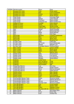 Medium-Small - Home - L`Almozara Dog Festival