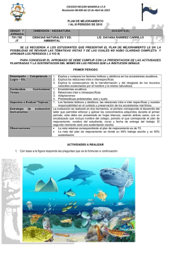 COLEGIO NELSON MANDELA I.E.D Resoluci&oacute;n 08