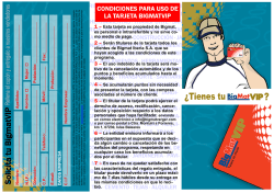 Cup&oacute;n Inscripci&oacute;n BIGMAT VIP