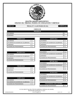13 - Tribunal Federal de Conciliaci&oacute;n y Arbitraje