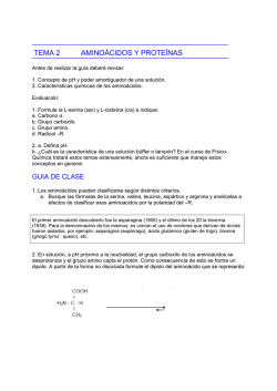Tema 2 aminoacidos y prote&iacute;nas