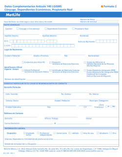 Datos Complementarios Art&iacute;culo 140 LGISMS C&oacute;nyuge