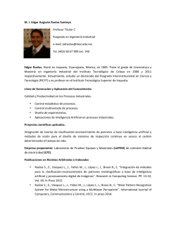 M. I. Edgar Augusto Ruelas Santoyo Profesor Titular C Posgrado en