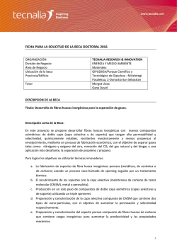 Desarrollo de fibras huecas inorg&aacute;nicas para la