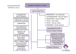 ORGANIGRAMA APANAG 2015 EQUIPO T&Eacute;CNICO
