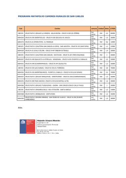 Pinche aqu&iacute; para ver listado de Caminos informado por Vialidad.