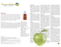 Descargar ficha t&eacute;cnica