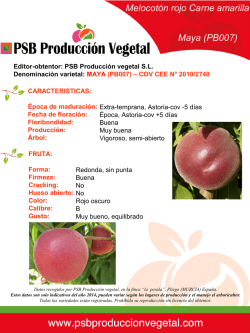 MELOCOT&Oacute;N - MAYA (PB007-PJ)