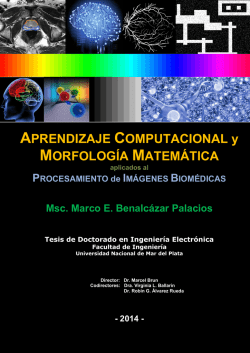 APRENDIZAJE COMPUTACIONAL y MORFOLOG&Iacute;A MATEM&Aacute;TICA