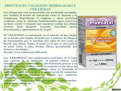 provitacel/ col&aacute;geno hidrolizado y ceramidas