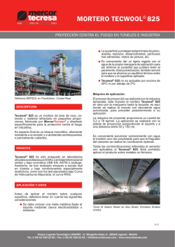 MORTERO TECWOOL&reg; 825