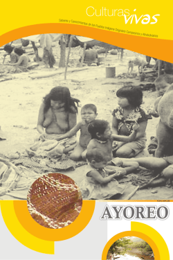 AyOreO - Pueblos Ind&iacute;genas
