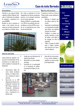 Informaci&oacute;n - LeanSis Productividad