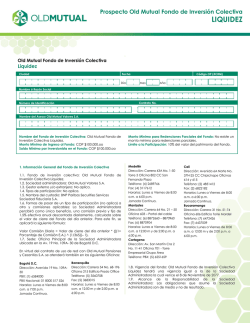 Fondo Voluntario de Pensiones - Multifund Skandia