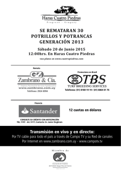 se remataran 30 potrillos y potrancas generaci&oacute;n 2013