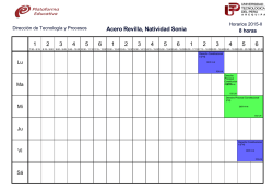 Acero Revilla, Natividad Sonia 8 horas