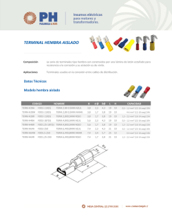 TERMINAL HEMBRA AISLADO