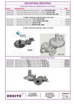 GAS NATURAL INDUSTRIAL