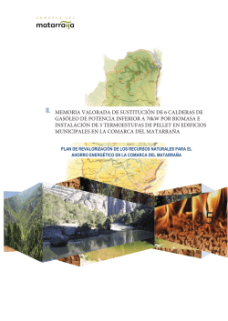 Memoria valorada calderas y termoestufas.