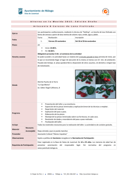 Cerezas de Lana Fieltrada