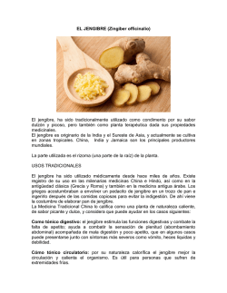 el jengibre pdf