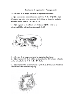 Cuestionario de citolog&iacute;a