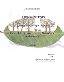 Gu&iacute;a de estudio Fotos&iacute;ntesis - Facultad de Ciencias Exactas y