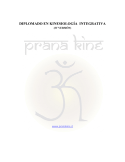 Programaci&oacute;n acad&eacute;mica Diplomado en Kinesiolog&iacute;a
