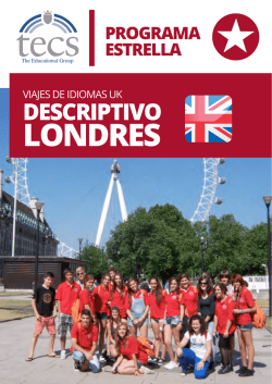 Descargar Descriptivo