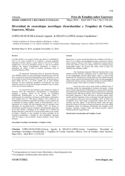 Descargar - Foro de Estudios Sobre Guerrero