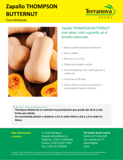 Descargar ficha t&eacute;cnica Zapallo THOMPSON BUTTERNUT