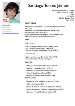 Curriculum MT 2015 Santiago Torres