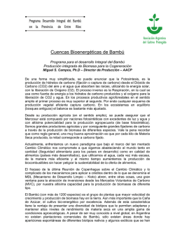 associazione volontari - asociacion argentina de cultivos protegidos