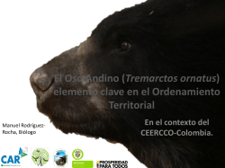 El Oso Andino (Tremarctos ornatus) elemento clave en el
