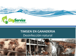 Timsen Ganaderia