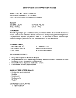 constipaci&oacute;n y obstipaci&oacute;n en felinos diana carolina torres palacio